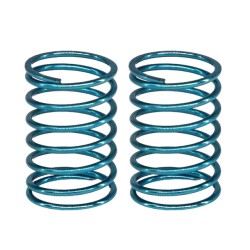 eXcelerate On-Road 2.5lb Rear Springs (2)