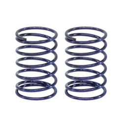 eXcelerate On-Road 2.7lb Rear Springs (2)