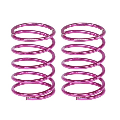 eXcelerate On-Road 3.0lb Rear Springs (2)