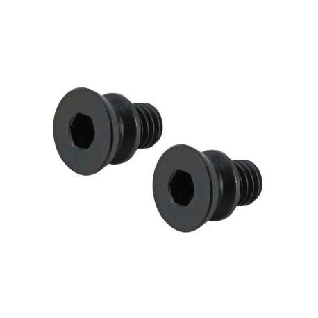 eXcelerate Prodigy Pivot Screws (2)