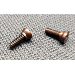 CRC Pivot Screw (2)