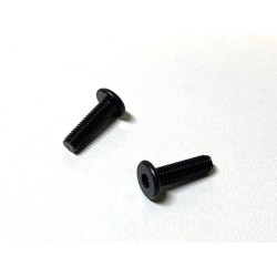 Flat-head Hex Cap Screw 8mm (2pcs)