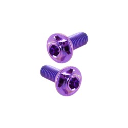 eXcelerate M3 x 8 LP Titanium Motor Screws (2)