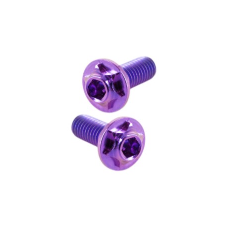 eXcelerate M3 x 8 LP Titanium Motor Screws (2)