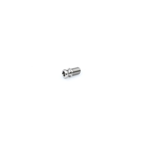 Rapide P12V3 Center Pivot Ball Titanium
