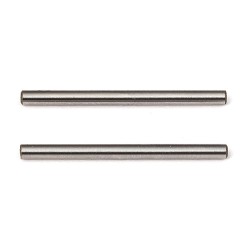 Associated RC12R6 Hinge Pins