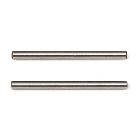 Associated RC12R6 Hinge Pins