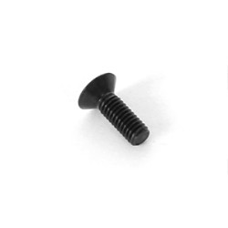 4x12mm Flat Screw (10)