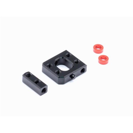 Rapide P12 EVO Alum Large Servo mount