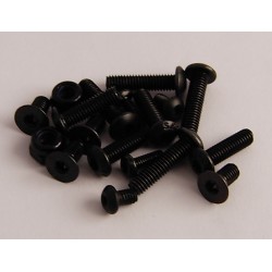 Screw Set for Xenon front end