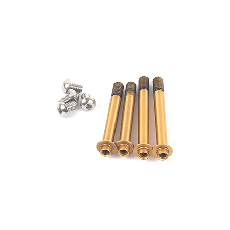 R8.3 Shock Shaft-Titanium Coating (4)