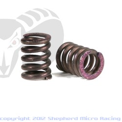 2-speed springs (2)