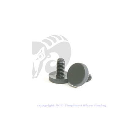 Nylonscrew M6 body mount rear (2)