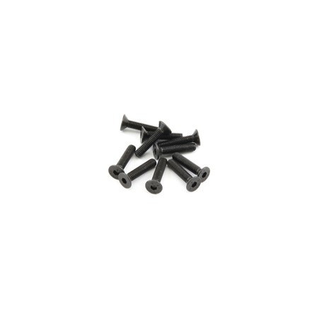 Hex. countersunk screw M3x14 (10)