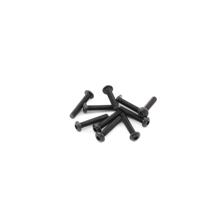 Hex. buttonhead screw M3x16 (10)