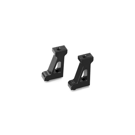 Radioplate mount V10 (2) - black