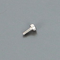 2x5mm Cap Screw (10)