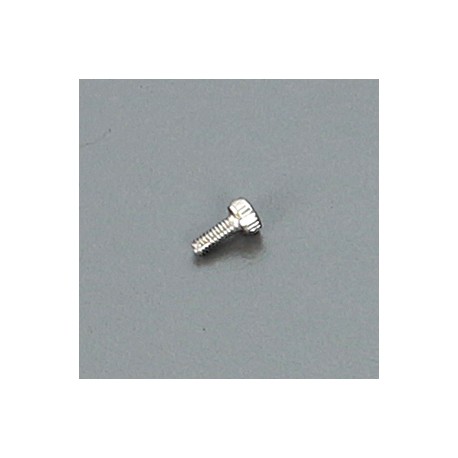 2x5mm Cap Screw (10)