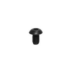 M2 x 4 soc Button screws 10pcs